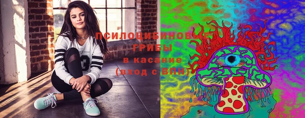соль ск Протвино