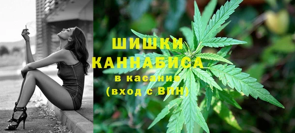 сатива Балабаново